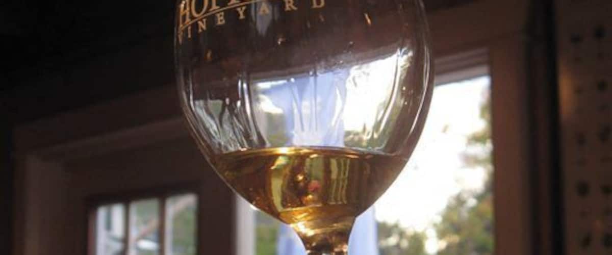 A hand holding a wine glass with the label "Hopkins Vineyard" in a dimly lit room with windows and a door in the background.