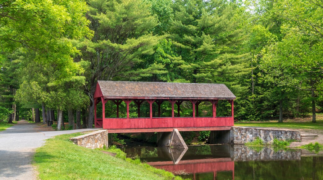 Red covered bridge reflected in a stream