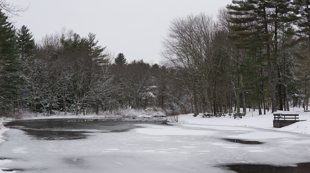 Frozen pond with snow and trees. Forest. Winter scene. Stratton Brook State Park Simsbury Connecticut.