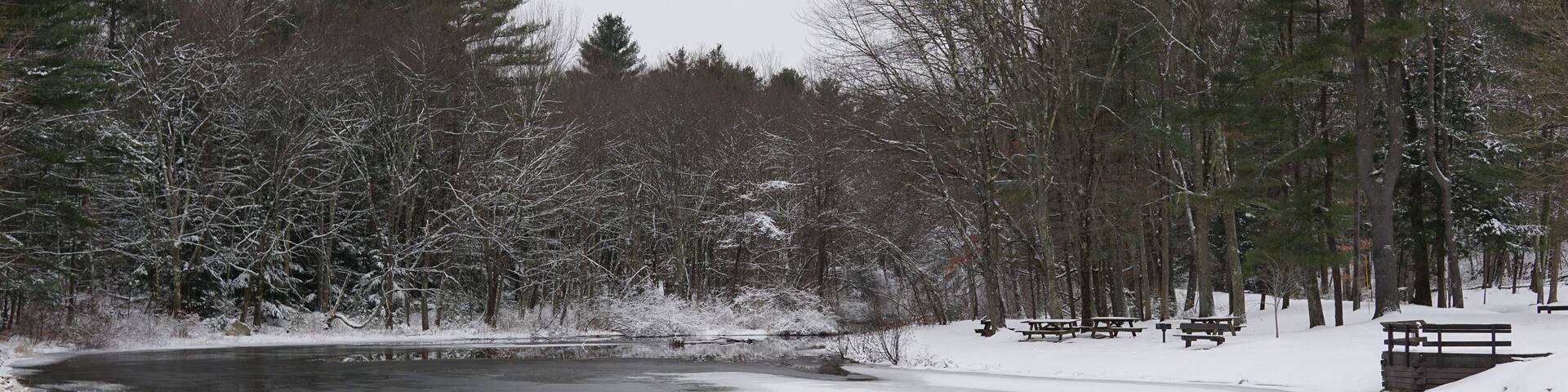 Frozen pond with snow and trees. Forest. Winter scene. Stratton Brook State Park Simsbury Connecticut.