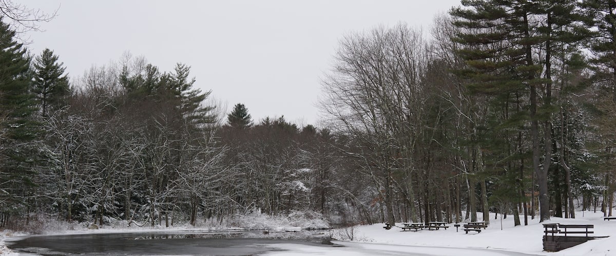 A frozen river surrounded by snow-covered trees and picnic tables.