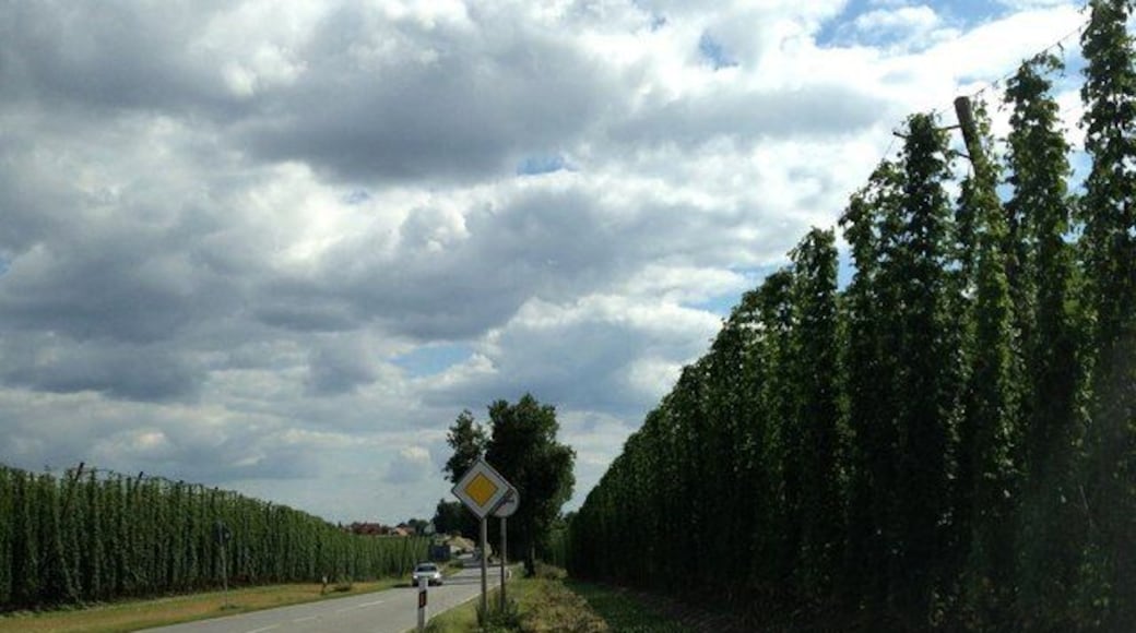 Die B301 im Hopfenanbaugebiet bei Etzenbach