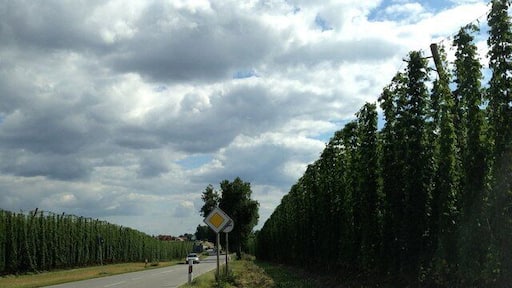Die B301 im Hopfenanbaugebiet bei Etzenbach