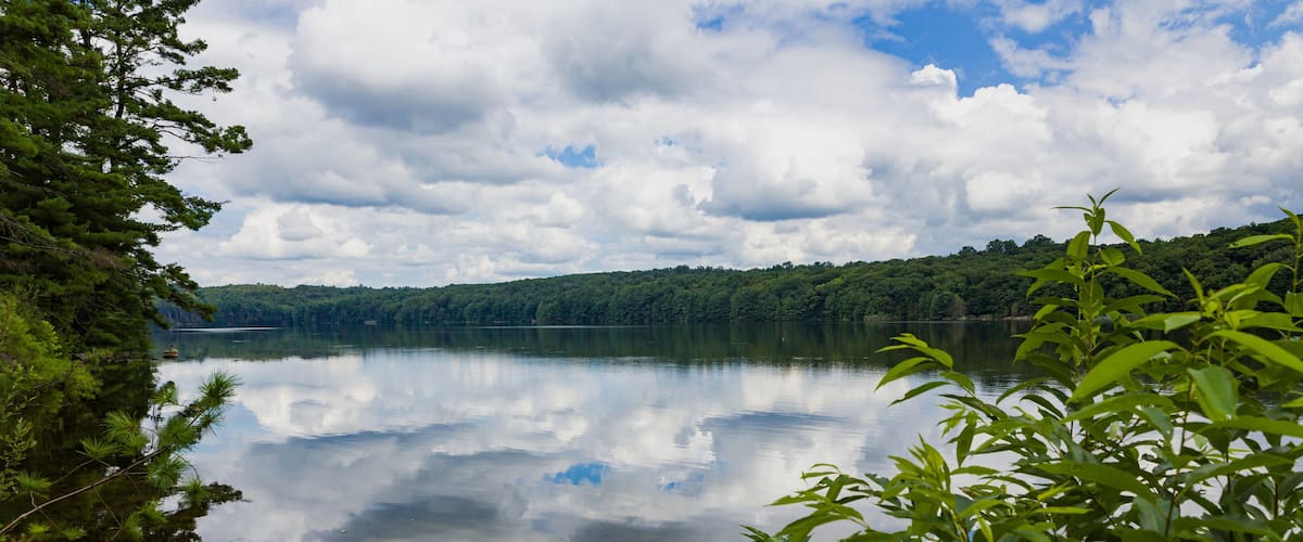 A calm lake surrounded by dense forest and a cloudy sky.