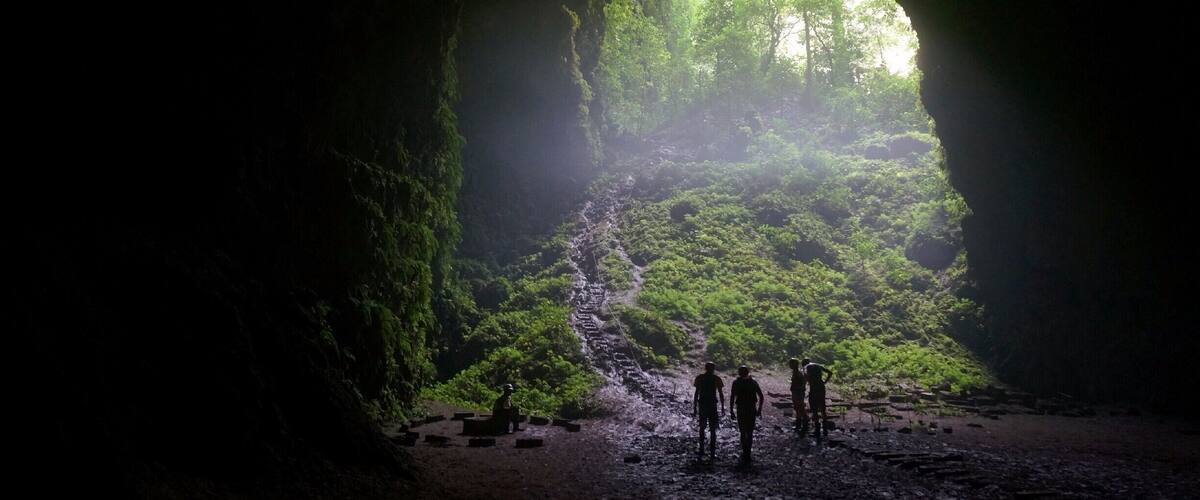 A cave entrance with a waterfall inside, surrounded by lush greenery.