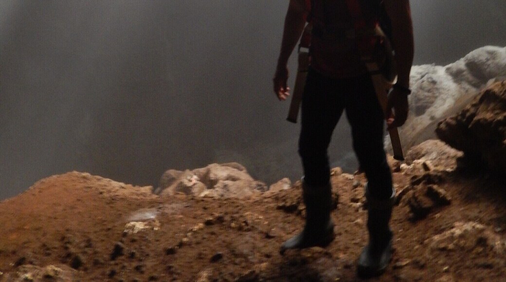 Goa Jomblang is an underground cave near Wonosari/Semanu, outside of Jogja, Indonesia.
You rappel down about 40m, and then hike 200m until you arrive at this stunning light shining through this cave.
Maybe the most beautiful place I've ever seen. Definitely worth the $35! You receive a team to set up the rappelling / lowering, safety briefings, guide for the hike, and lunch afterwards.
Call Mas Cahyo at +62 811 117 010 -- maybe speaks bahasa indo only. Safety briefings also only in Indonesian.