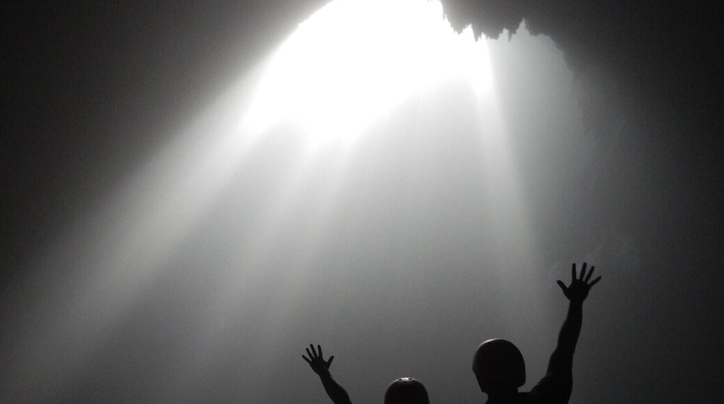 Goa Jomblang is an underground cave near Wonosari/Semanu, outside of Jogja, Indonesia.
You rappel down about 40m, and then hike 200m until you arrive at this stunning light shining through this cave.
Maybe the most beautiful place I've ever seen. Definitely worth the $35! You receive a team to set up the rappelling / lowering, safety briefings, guide for the hike, and lunch afterwards.
Call Mas Cahyo at +62 811 117 010 -- maybe speaks bahasa indo only. Safety briefings also only in Indonesian.