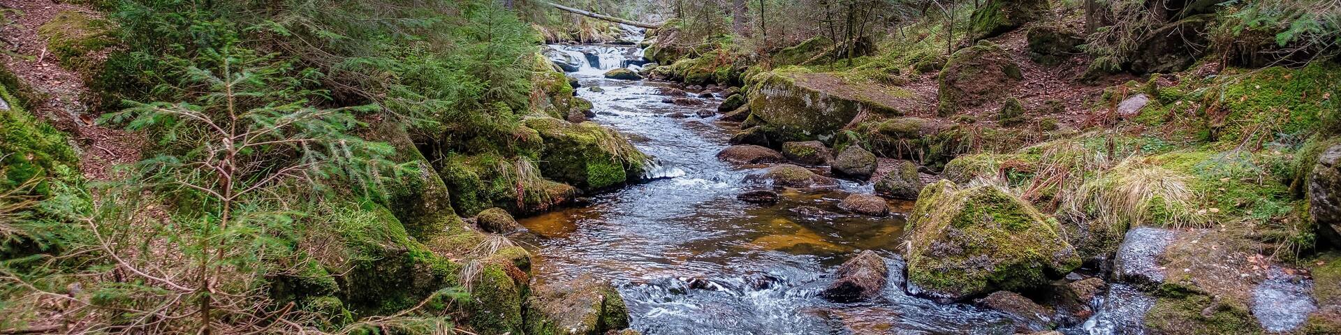 Schwarzenbächle nahe beim Krai-Woog-Gumpen