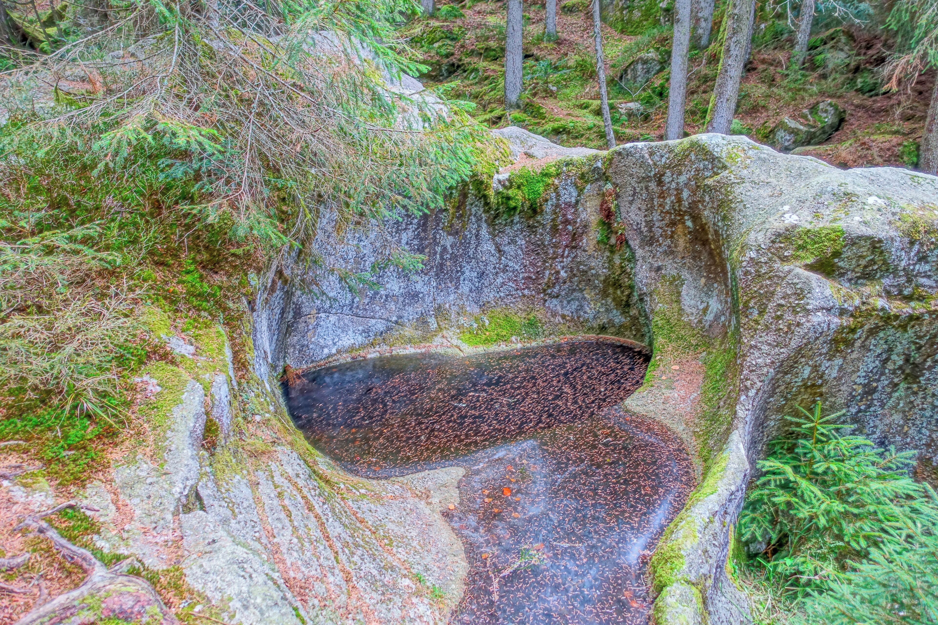 Gletschermühle Sie ist die größe des Schwarzwaldes. Zur Entstehung gibgt es verschiedene Versionen.