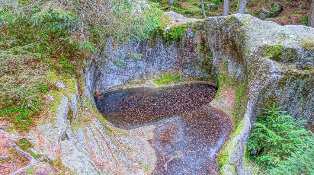 Gletschermühle Sie ist die größe des Schwarzwaldes. Zur Entstehung gibgt es verschiedene Versionen.