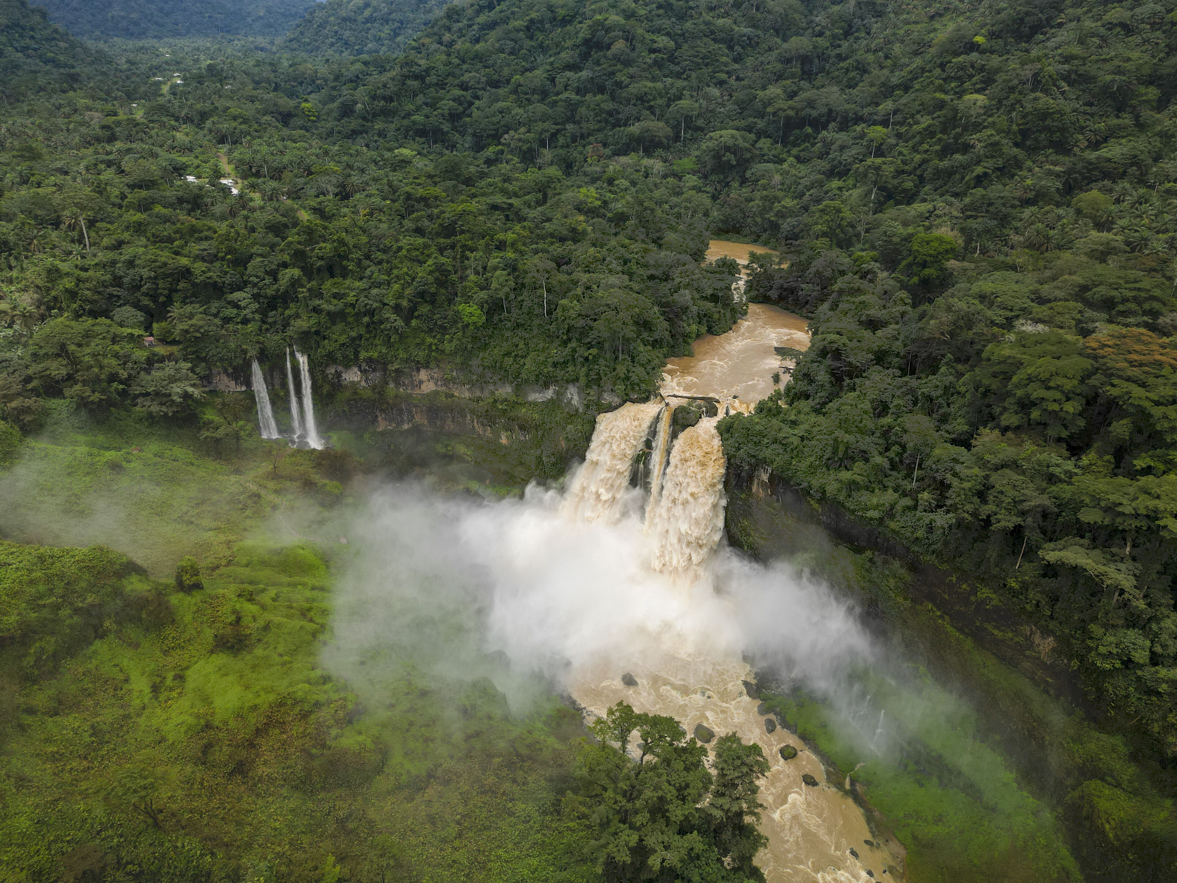 A waterfall cascading through a lush forest.