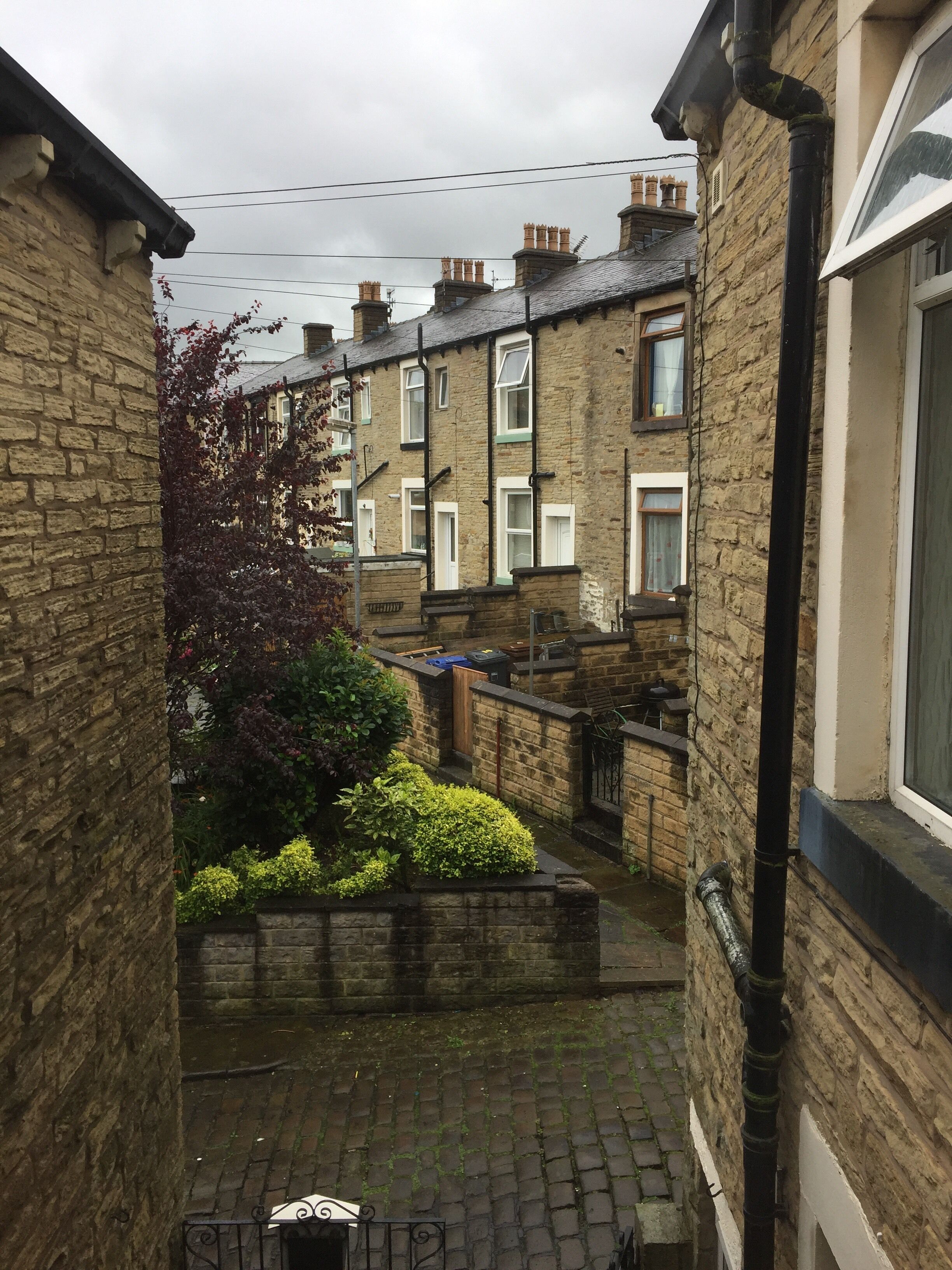 A narrow alleyway with brick buildings, a small garden, and a cobblestone path.