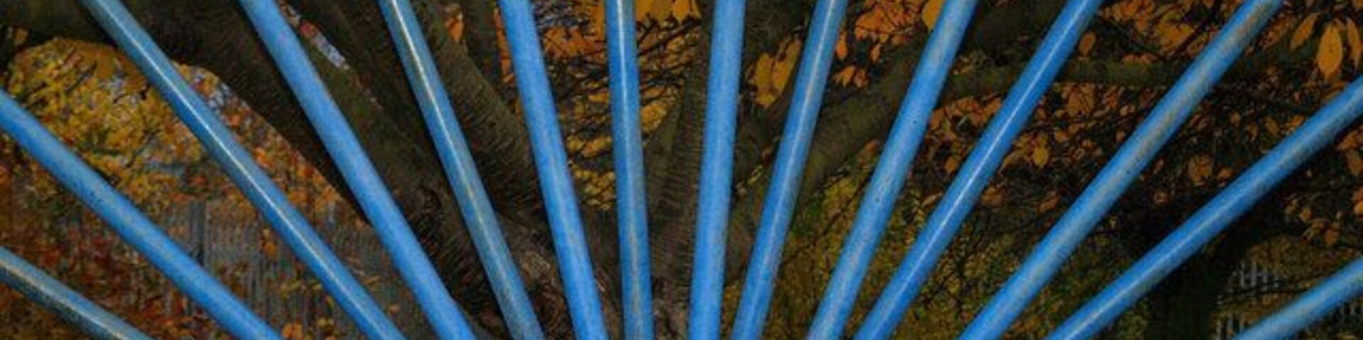 Una estructura metálica azul con soportes que se irradian en un parque.