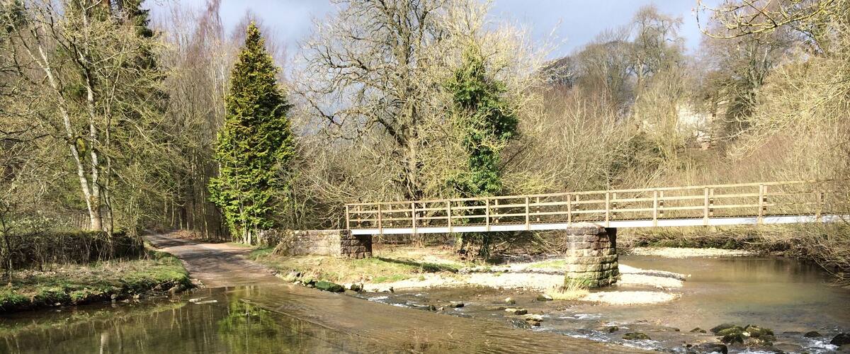 A wooden bridge over a river with trees and grass around.