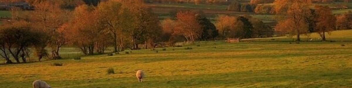 Pasture Near Hutton Moor End View south east in morning sunshine looking to the peaks of Clough Head (right - NY3322) and Great Dodd (NY3420).