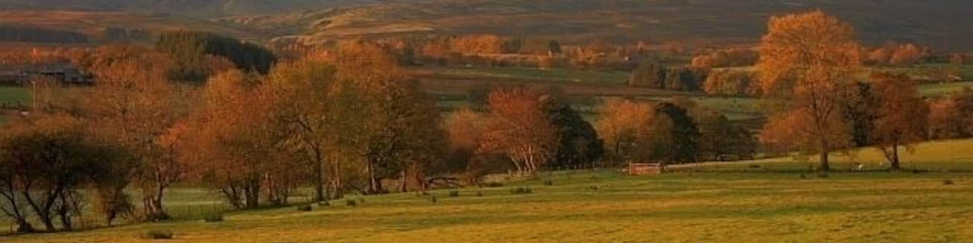 Pasture Near Hutton Moor End View south east in morning sunshine looking to the peaks of Clough Head (right - NY3322) and Great Dodd (NY3420).
