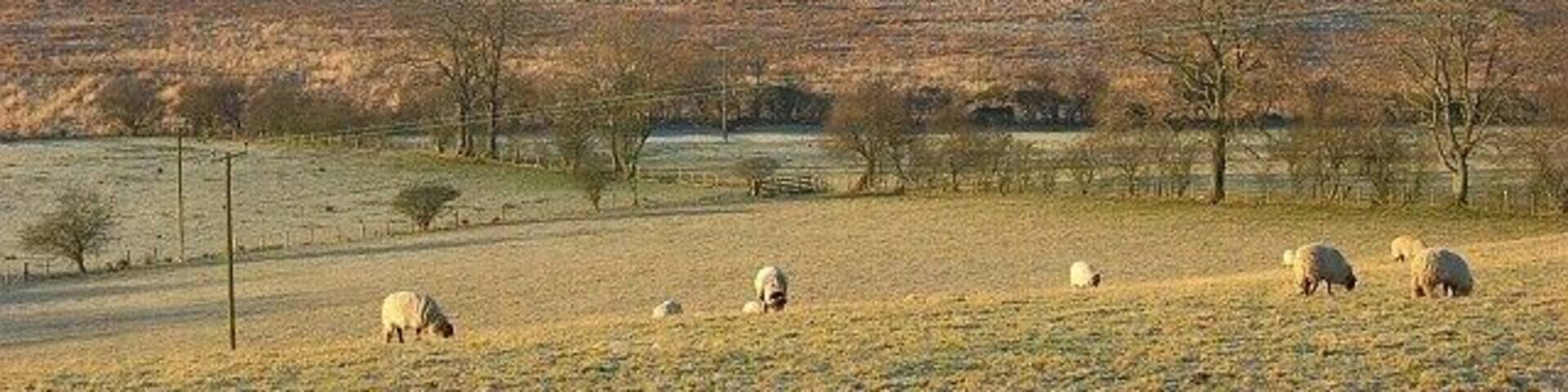 Pasture, Murrah Looking across White Moss towards Mungrisdale. Blencathra's saddle is in the background to the left with the slopes of Bowscale Fell rising to the right.