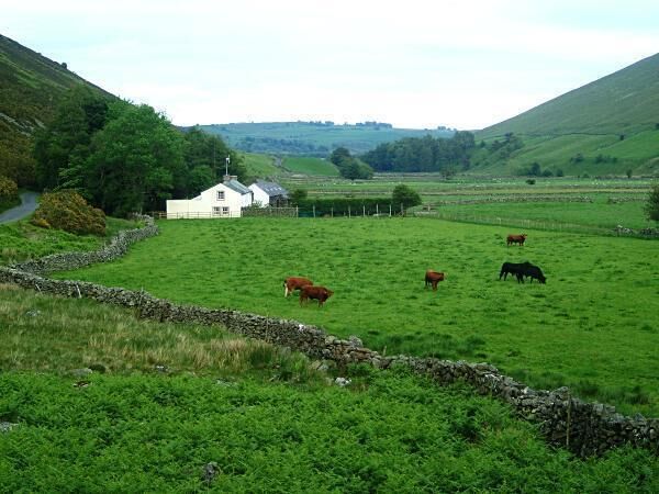 Swineside in Mosedale.