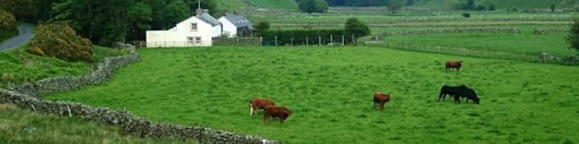 Swineside in Mosedale.