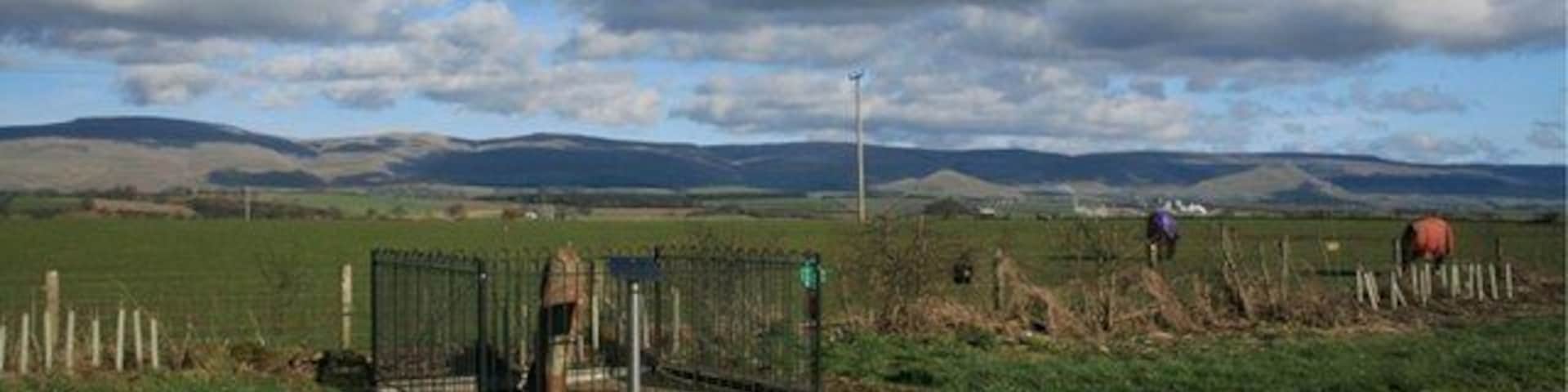 Roman Milestone (In Context) Adjacent to a layby on the A66. Dufton Pike can be seen in the far right distance between the two horses.