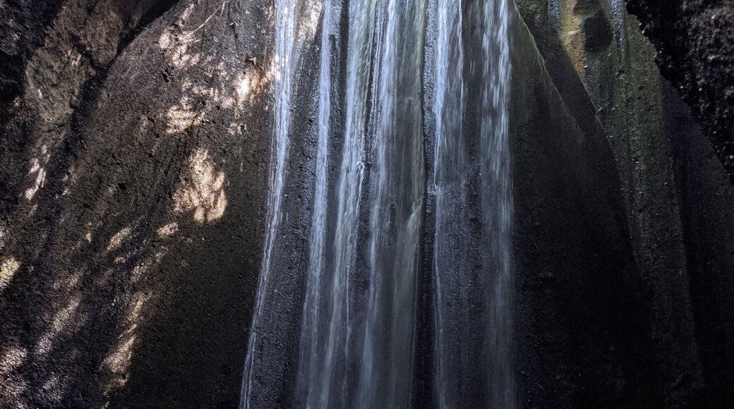 Worth the hike! #lifeatexpediagroup