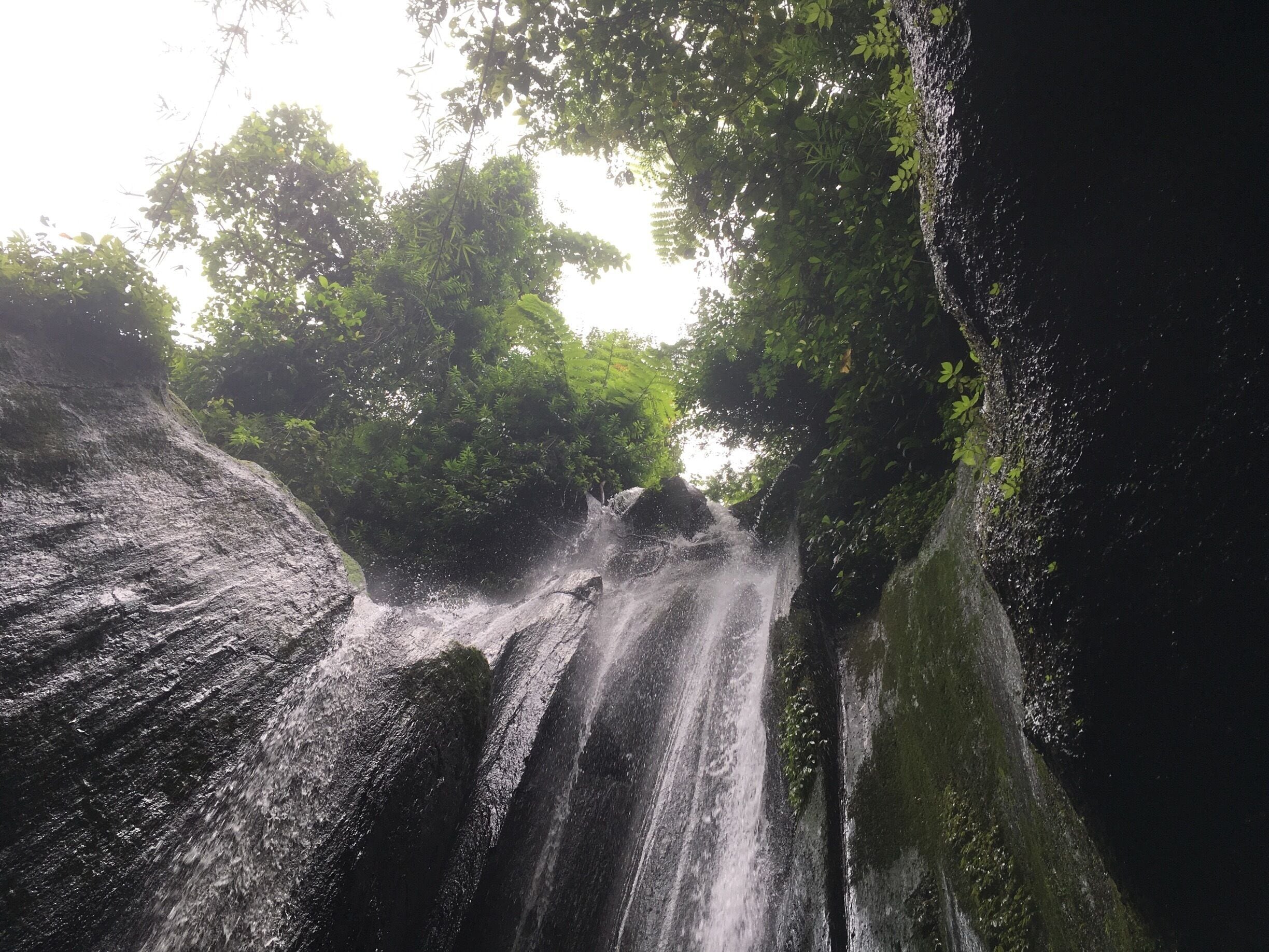 Most beautiful waterfall for me in Bali 
Awesome place with a little trek before the waterfall into the rice fields 
#nature