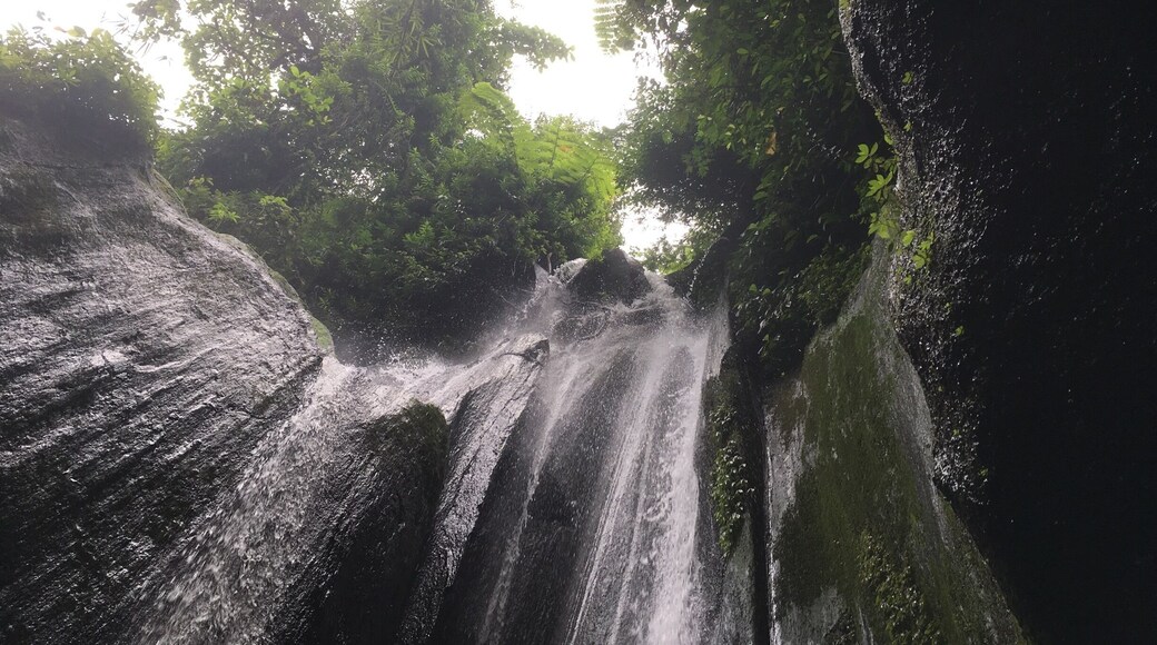 Most beautiful waterfall for me in Bali
Awesome place with a little trek before the waterfall into the rice fields
#nature