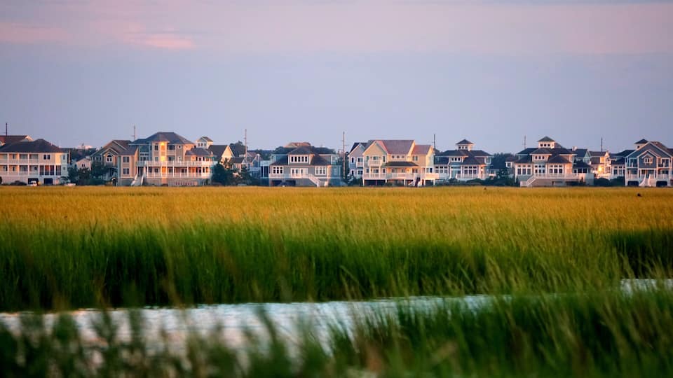 A coastal residential area with houses along the shoreline and a field of tall grass in the foreground.