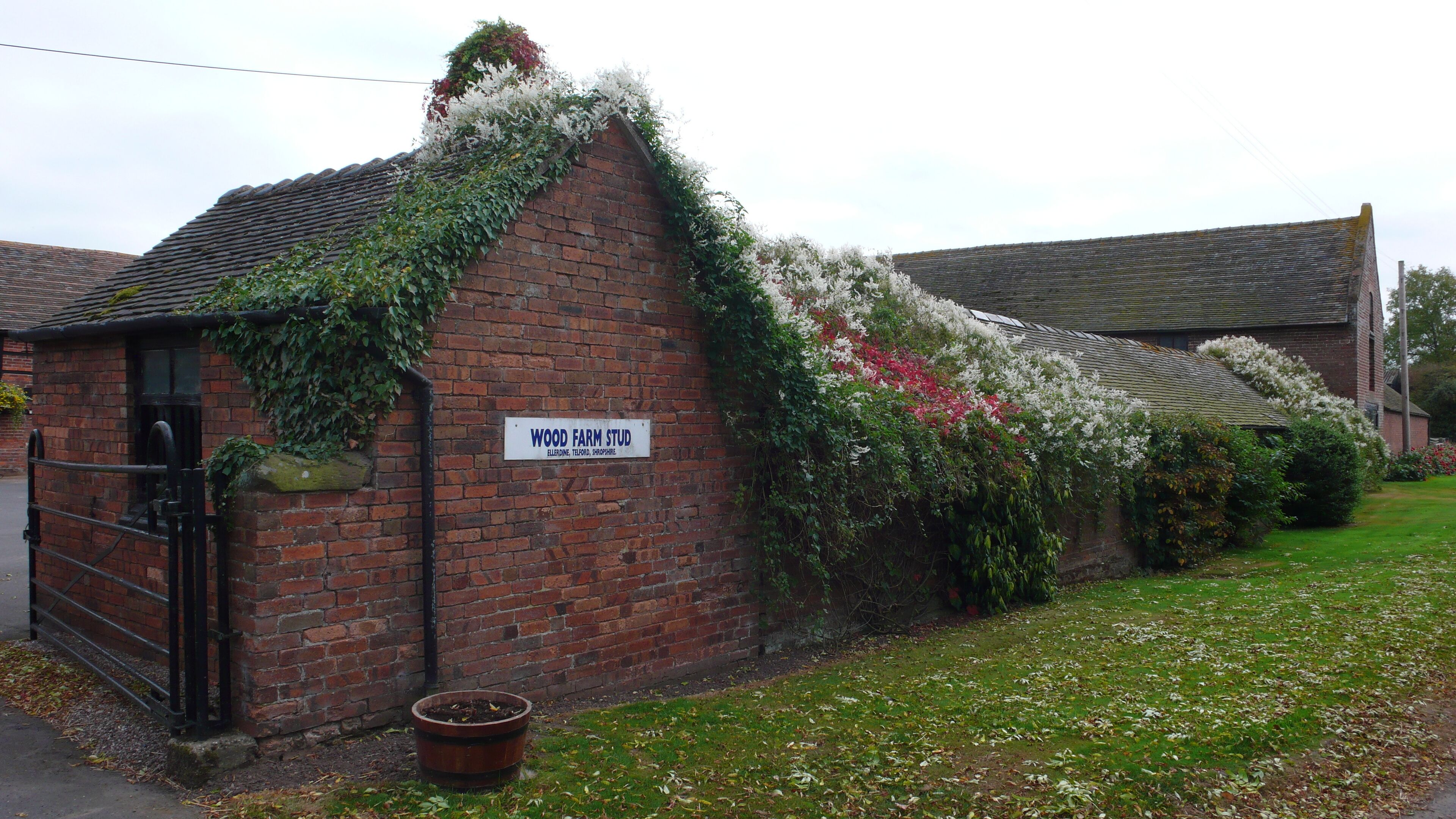 A brick building with a sign reading "WOOD FARM STUD" and a garden with flowering plants.