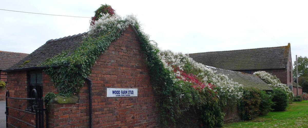 A brick building with a sign reading "WOOD FARM STUD" and a garden with flowering plants.