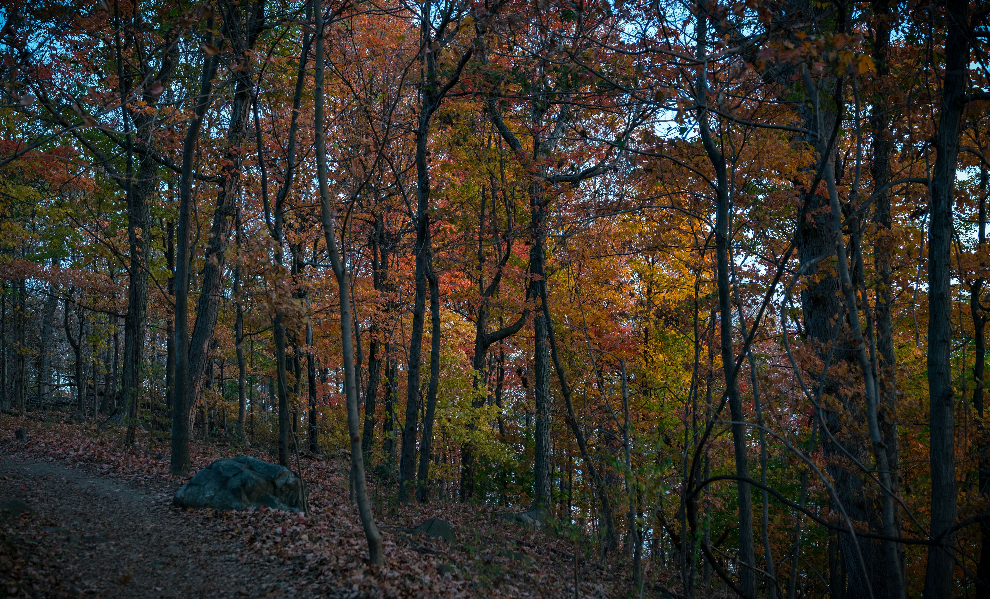 State Line Lookout New York New Jersey