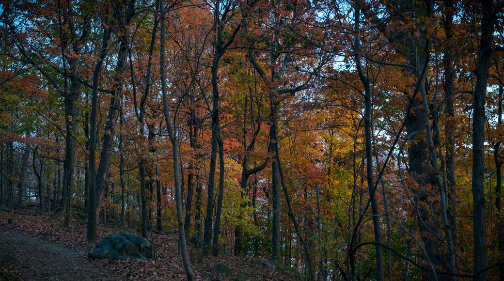 State Line Lookout New York New Jersey