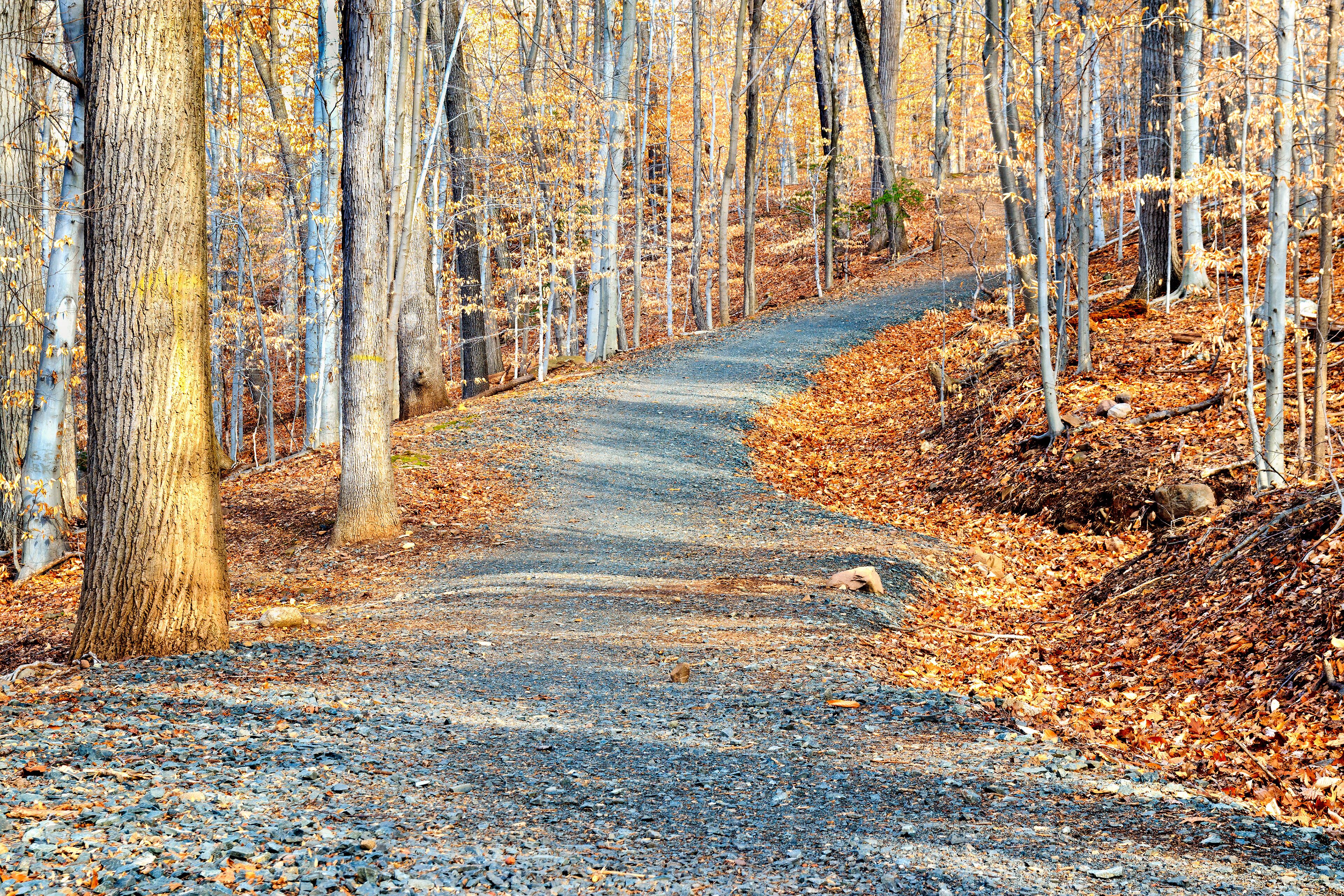 South Mountain Reservation in New Jersey, USA