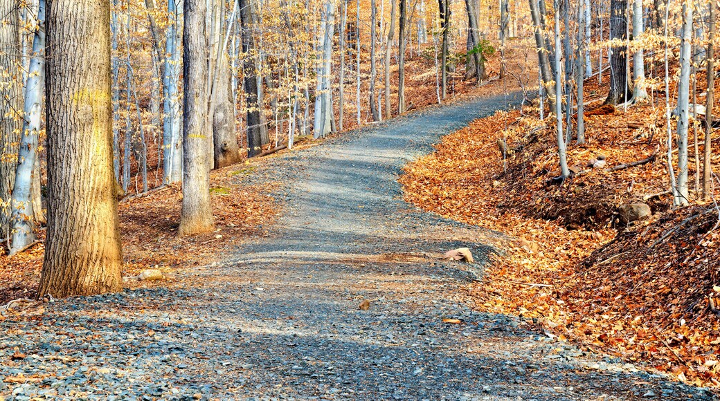 South Mountain Reservation in New Jersey, USA