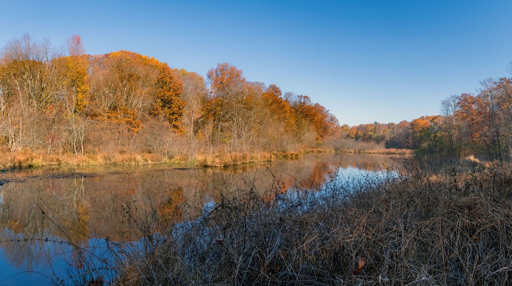 Natural Lake Lefferts