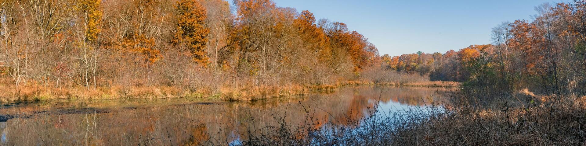 Natural Lake Lefferts