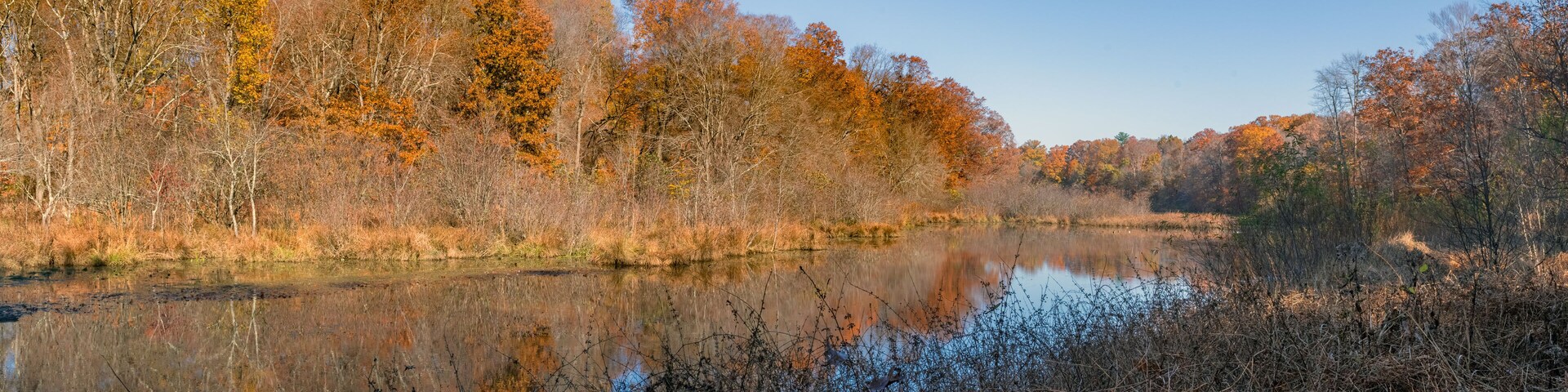 Natural Lake Lefferts