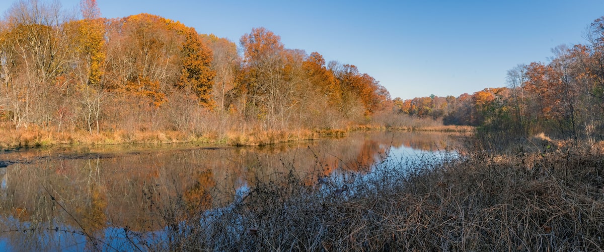 A calm river reflecting autumn trees, surrounded by dense shrubbery.