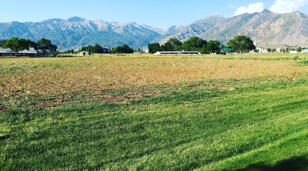 A beautiful view of this majestic mountain from the backyard.