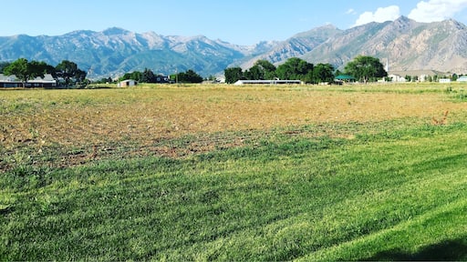 A beautiful view of this majestic mountain from the backyard.