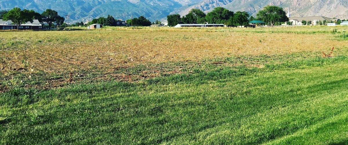 A beautiful view of this majestic mountain from the backyard.