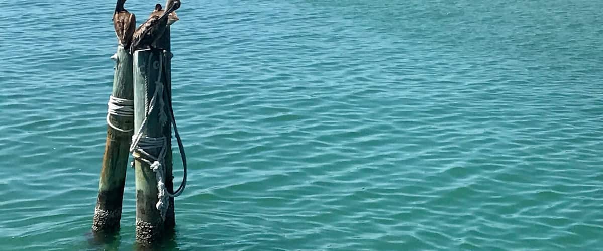 Fort De Soto is a beautiful county park in Tierra Verde, FL (just southwest of St. Petersburg). There's camp grounds, biking and running paths, kayaking, a fishing pier, and plenty of natural beach (including an isolated dog beach).