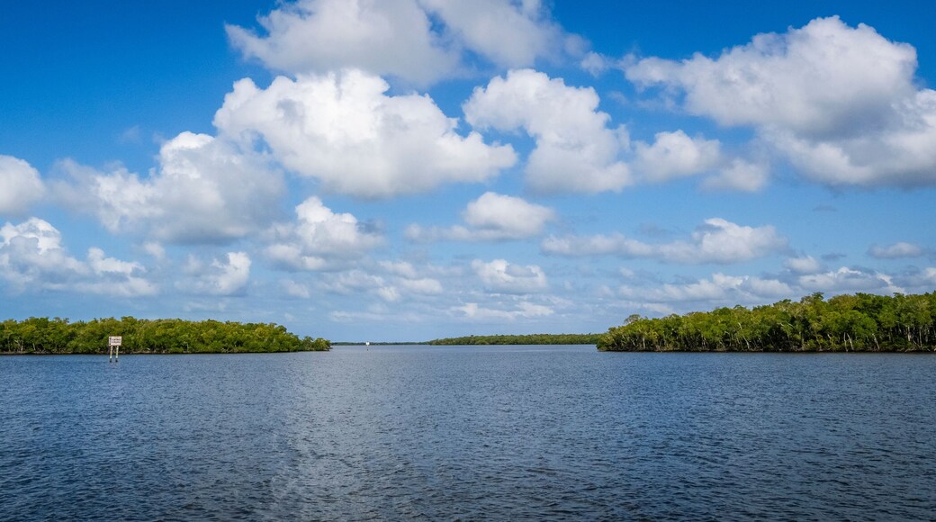 Chokoloskee Bay in the Ten Thousand Islands of southwest Florida USA