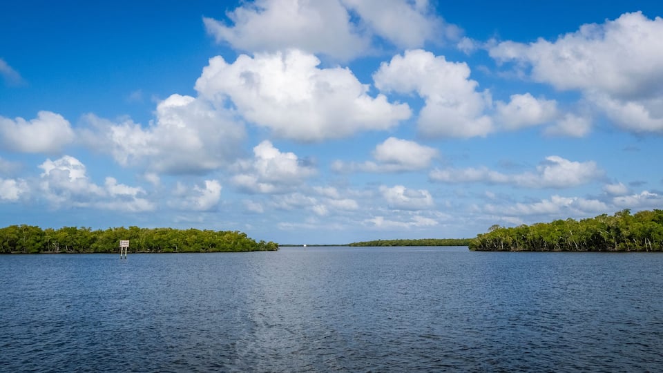 A calm lake with a clear sky and scattered clouds, surrounded by dense green forest.
