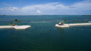 Une île tropicale aux eaux d’un bleu limpide, bordée de palmiers et abritant une hutte au toit de chaume.