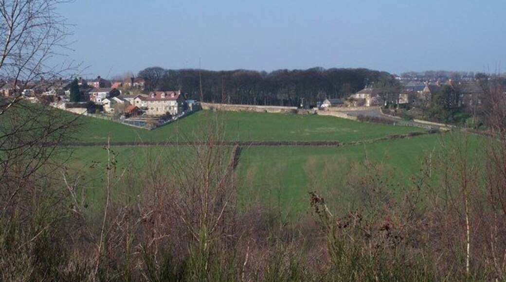 Western edge of Hemmingfield