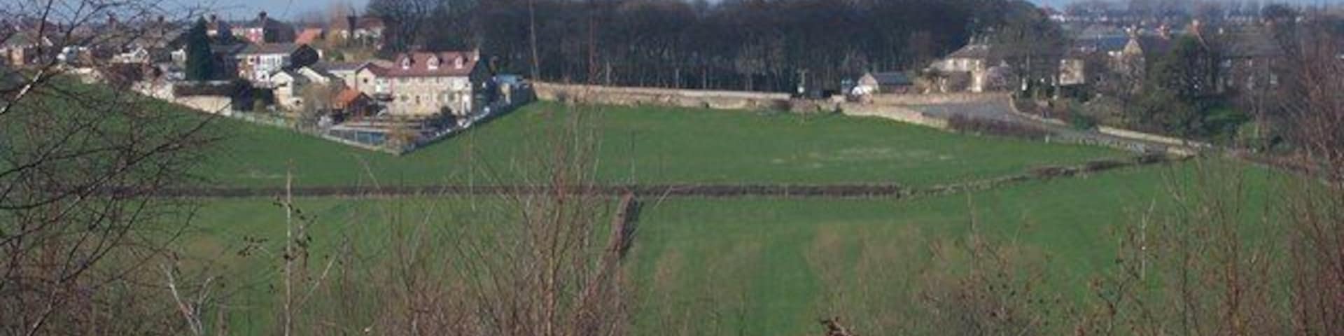 Western edge of Hemmingfield