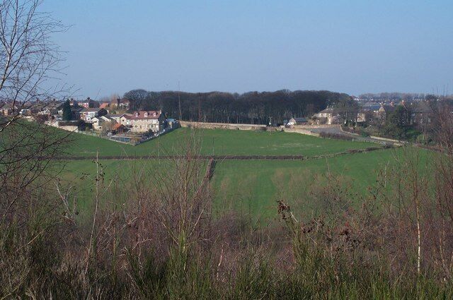 A rural landscape with fields, a stone wall, and houses in the background.