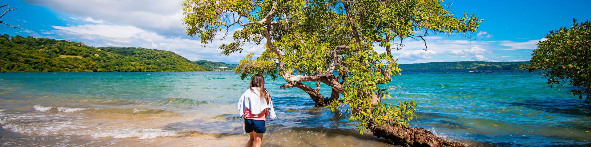 Beautiful beach view with trees and blue sky withe sand, Costa Rica.