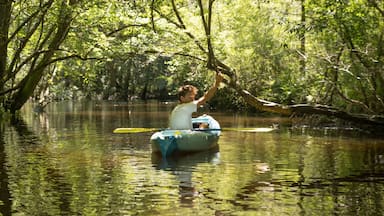 Teenage boy in kayak, Econfina Creek, Youngstown, Florida, USA
